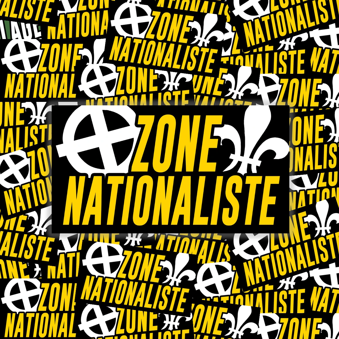 Pack de 100 sticks Zone Nationaliste