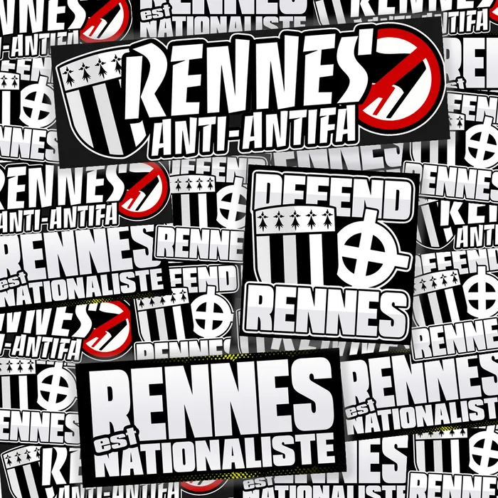 Pack de 100 sticks RENNES