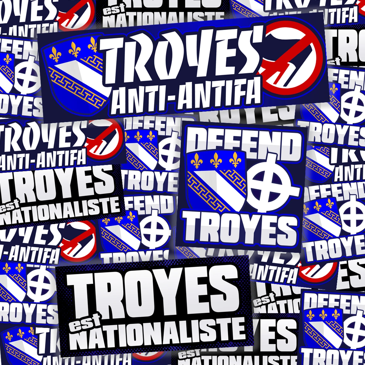 Pack de 100 sticks TROYES