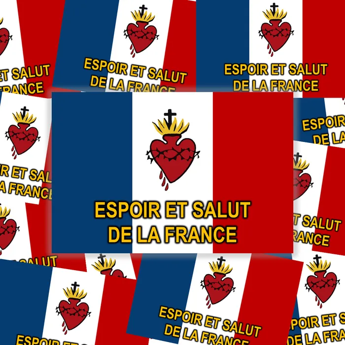 Pack de 100 Sticks ESF