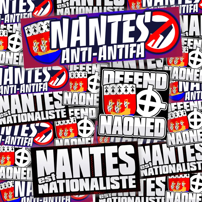 Pack de 100 sticks NANTES