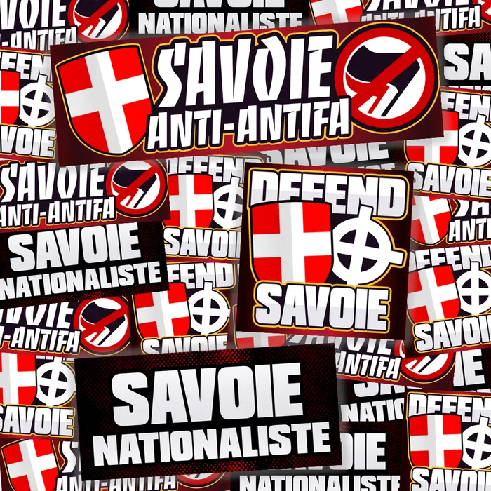 Pack de 100 sticks SAVOIE
